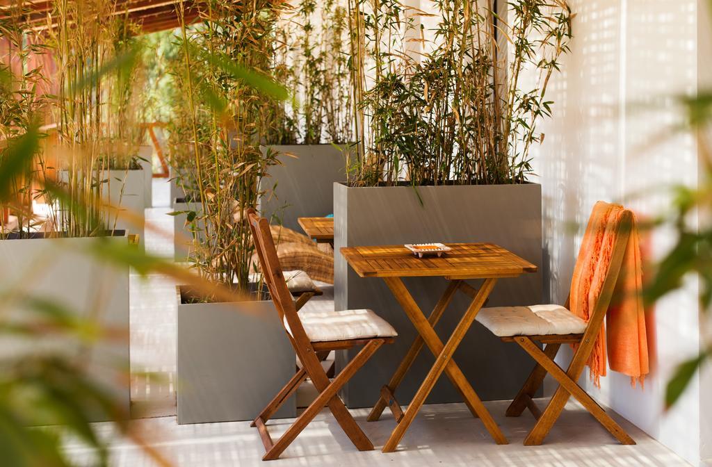 Country house Teima, Alentejo Sw