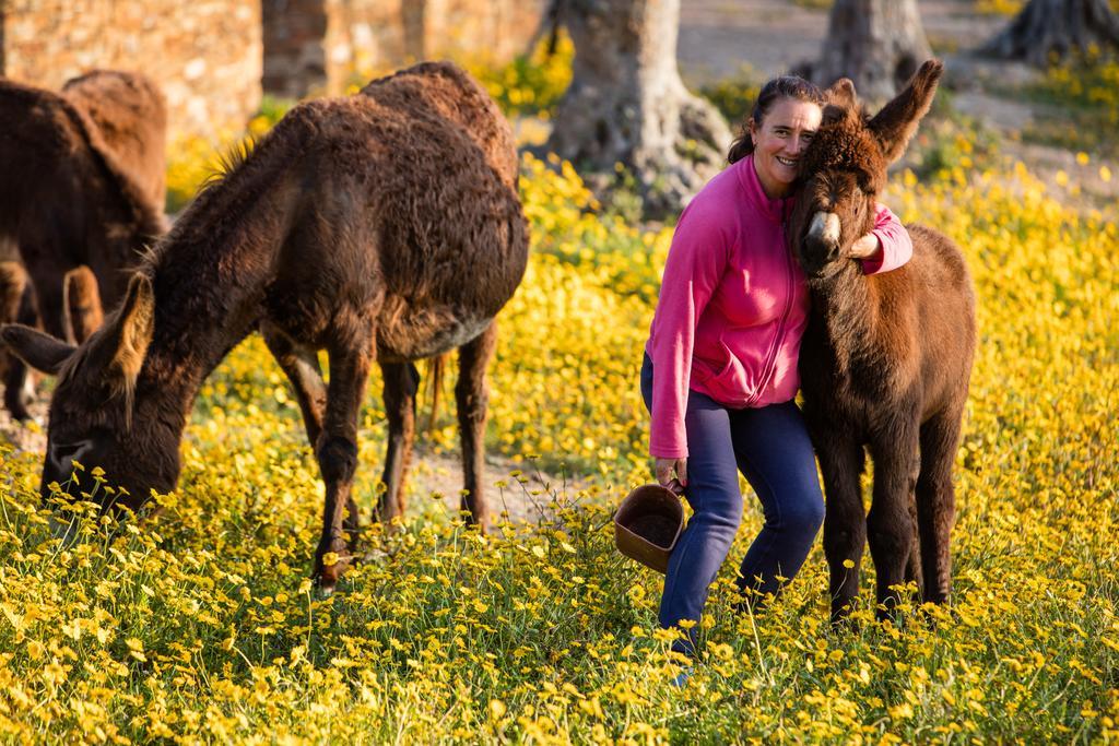 Teima, Alentejo Sw Sao Teotonio