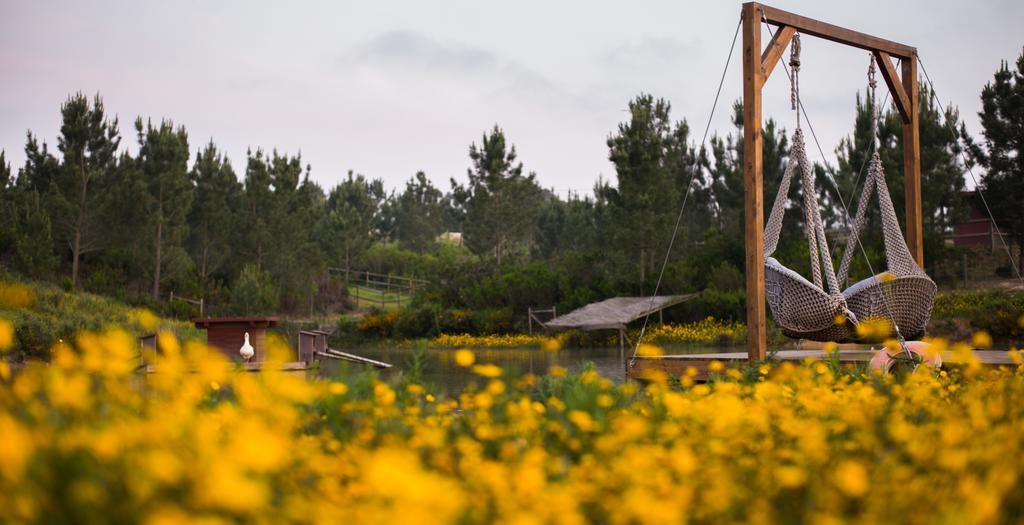 Country house Teima, Alentejo Sw