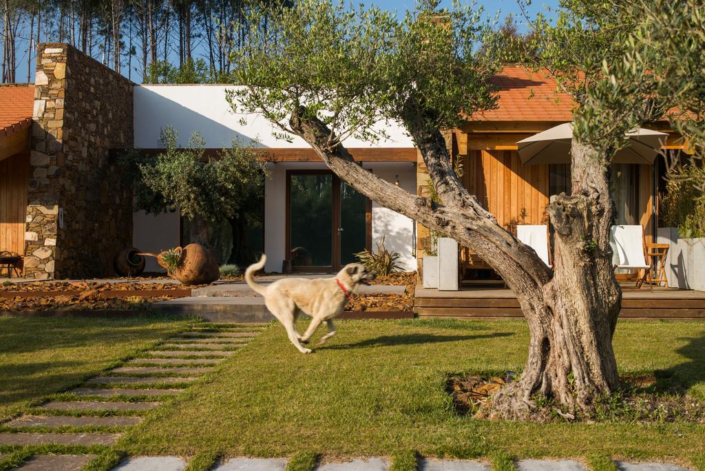Country house Teima, Alentejo Sw