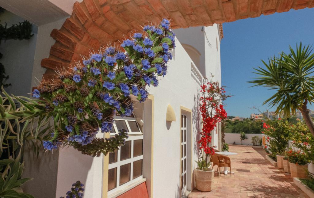 Villa Channa - Adults Only
