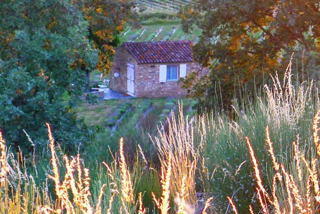 Farm stay Quinta Lavandas