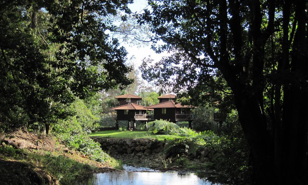 Holiday park Quinta Eiras