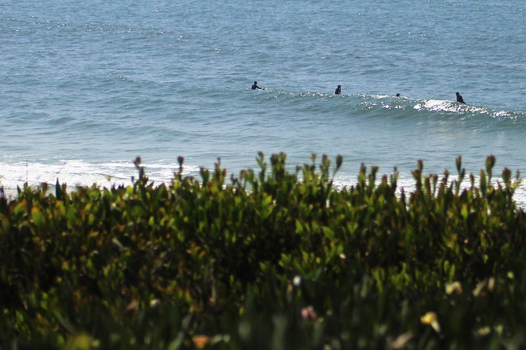 Watermark Surf House Ovar