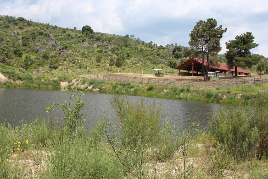 Farm stay Quinta Vale Da Prata