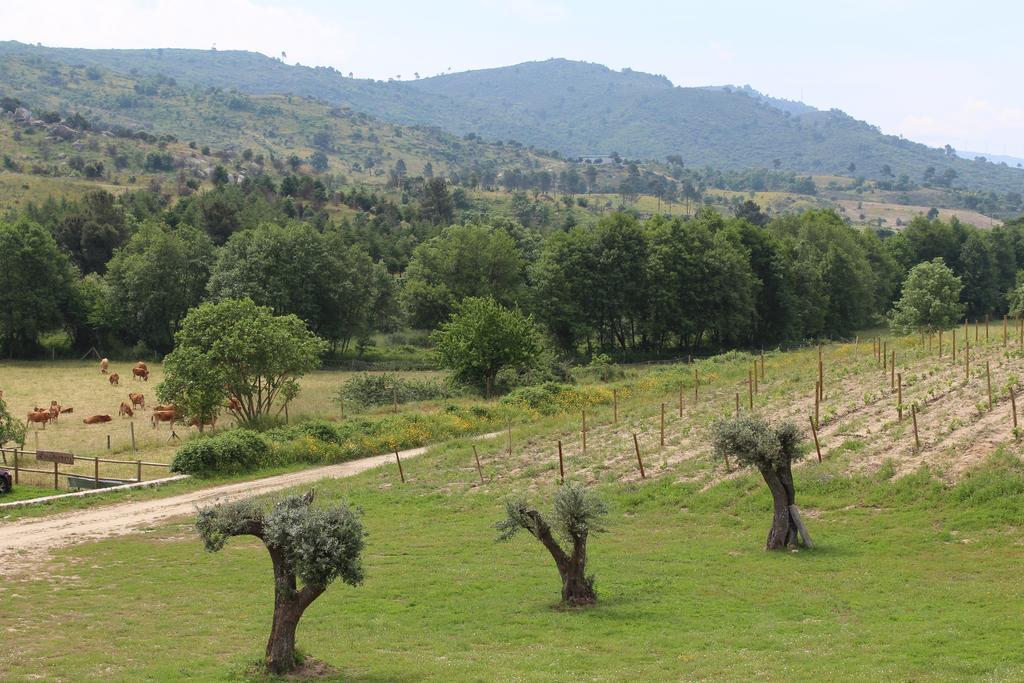 Quinta Vale Da Prata Celorico Da Beira
