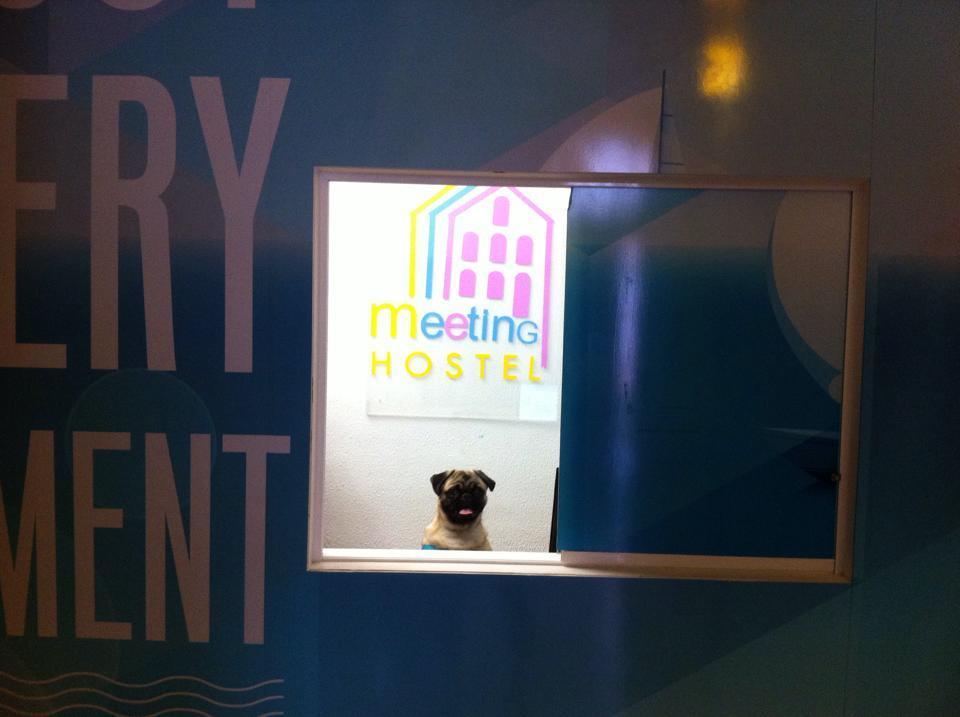 Meeting