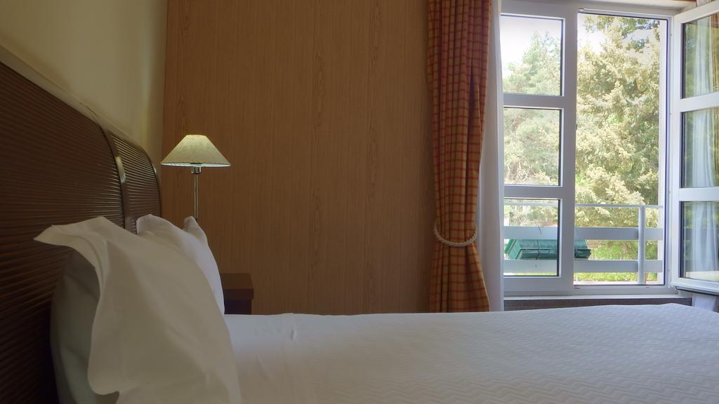 Golden Tulip