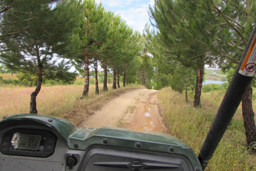 Monte Da Tojeirinha Montargil