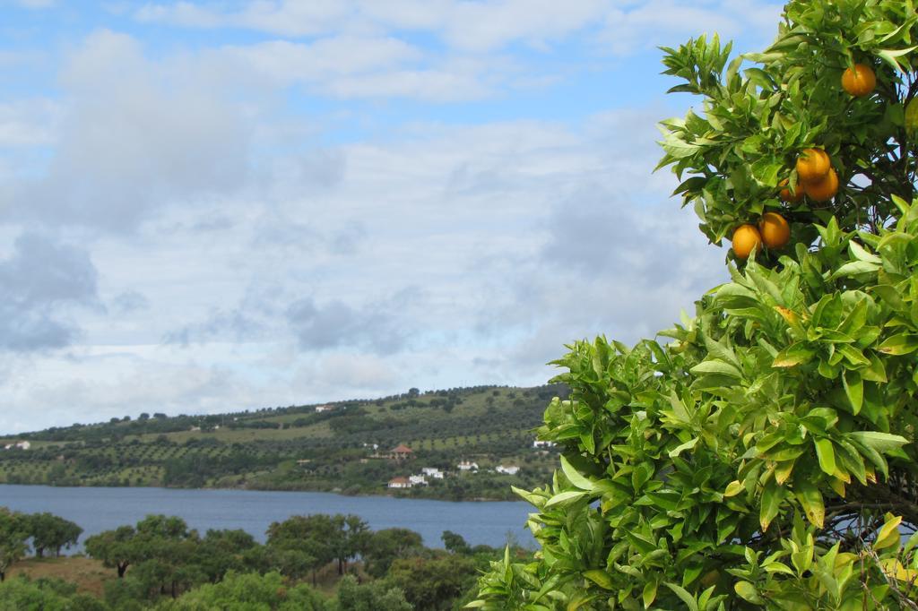 Country house Monte Da Tojeirinha Montargil