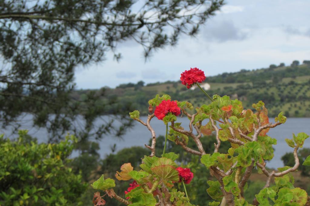 Country house Monte Da Tojeirinha Montargil