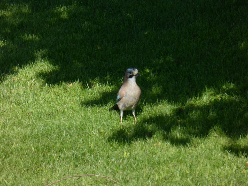 Quinta Do Burgo - Nature Amares