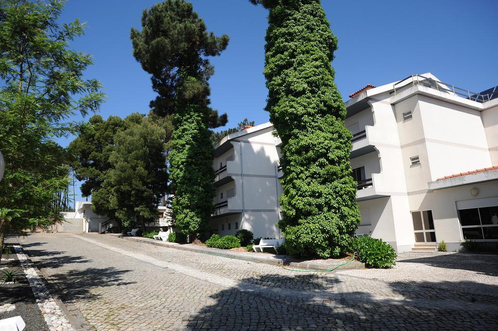 Colmeia Monte Real