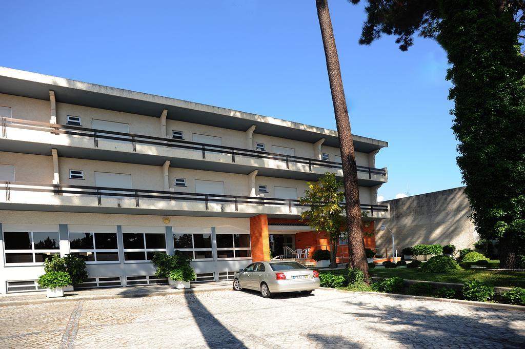 Colmeia Monte Real