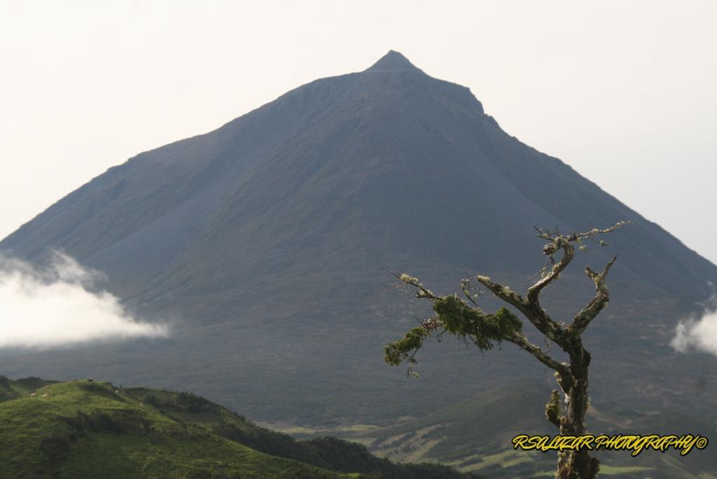 Campo de férias Yes Pico