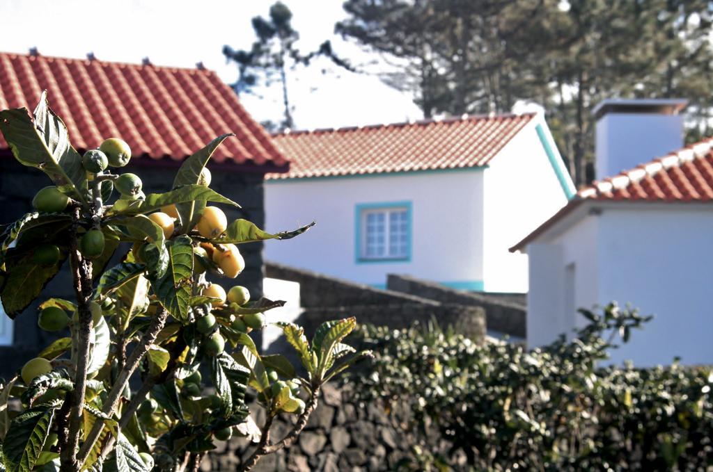Campo de férias Yes Pico *