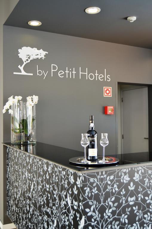 Madeira Bright Star By Petit