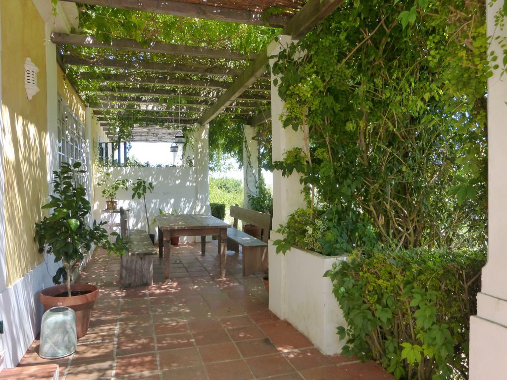 Ha Mar Ao Luar Setubal