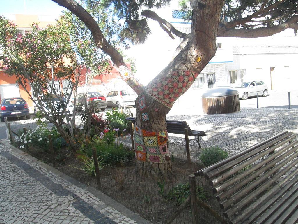 Guest house Pacifica 2*