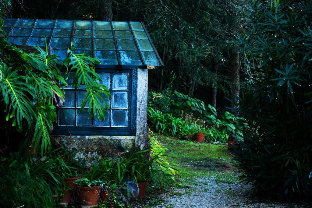 Hostal Almaa *