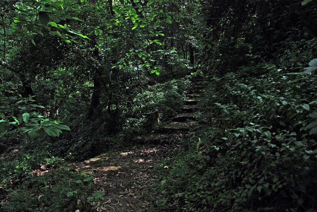 Almaa * Sintra