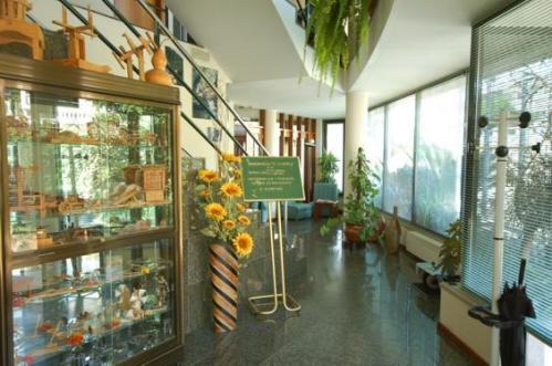 Guest house O Cortico 3*