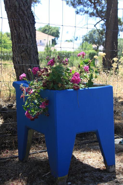 Farm stay Casa Do Pateo