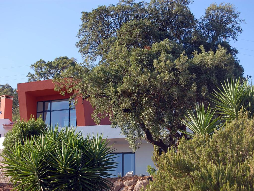 Farm stay Vinha Do Gaio