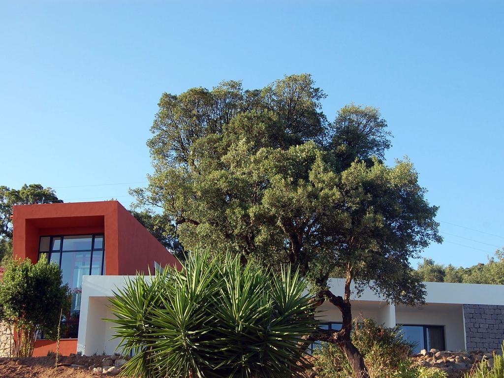 Farm stay Vinha Do Gaio *