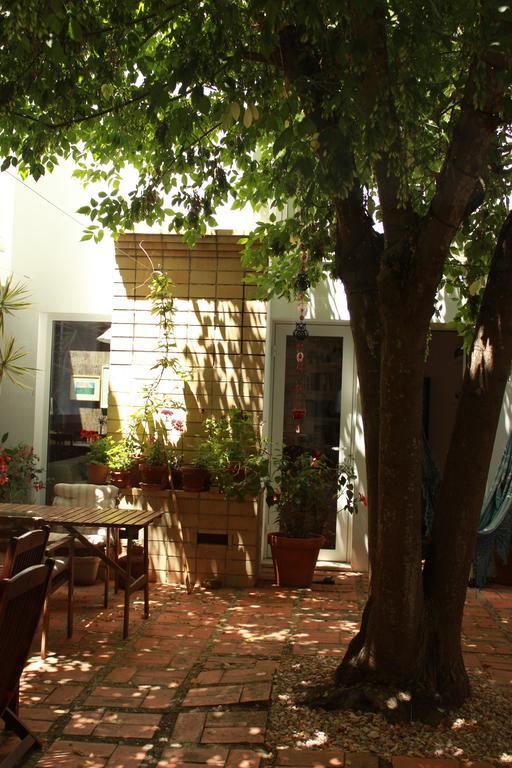A Casa Da Arvore