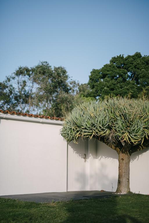 Farm stay Quinta Do Miguel