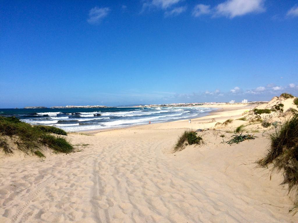 Lodge Shark's Baleal