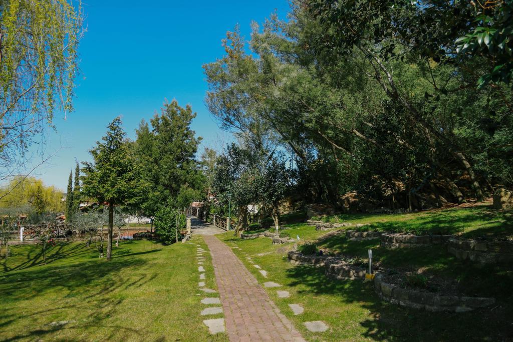 Hotel Olive Nature & - Quinta Valle De Passos