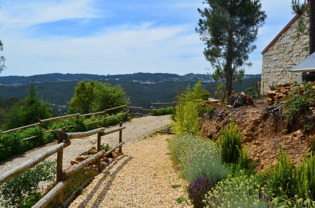 Holiday home De Paco Sever do Vouga
