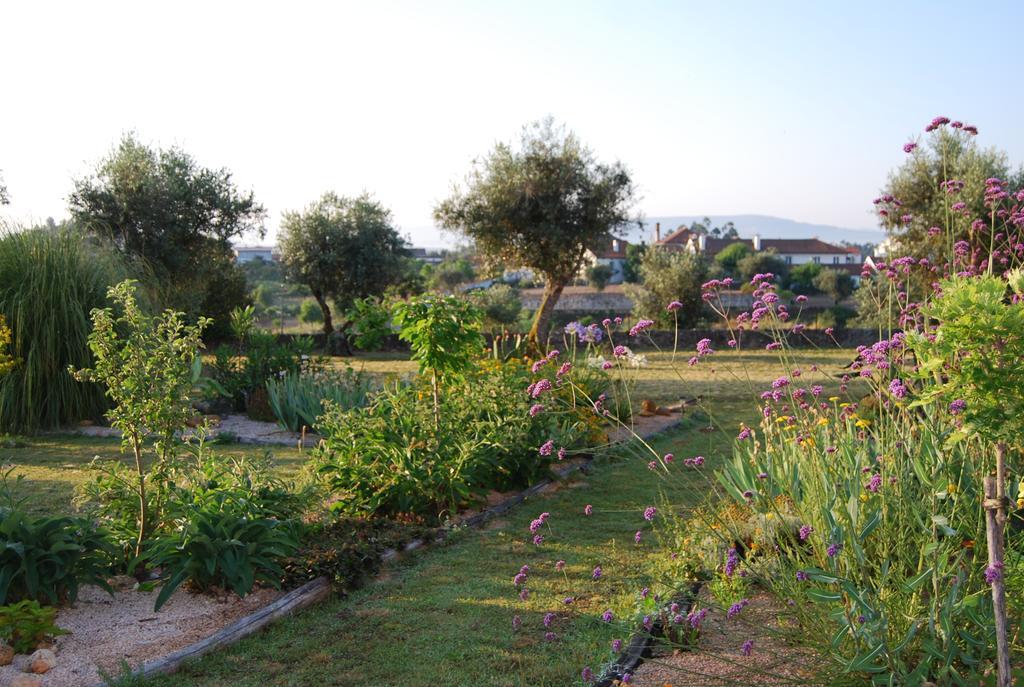 Guest house Latas Penacova