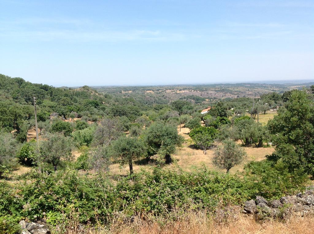 Holiday home Refugio Da Maceira Marvao (Portalegre)