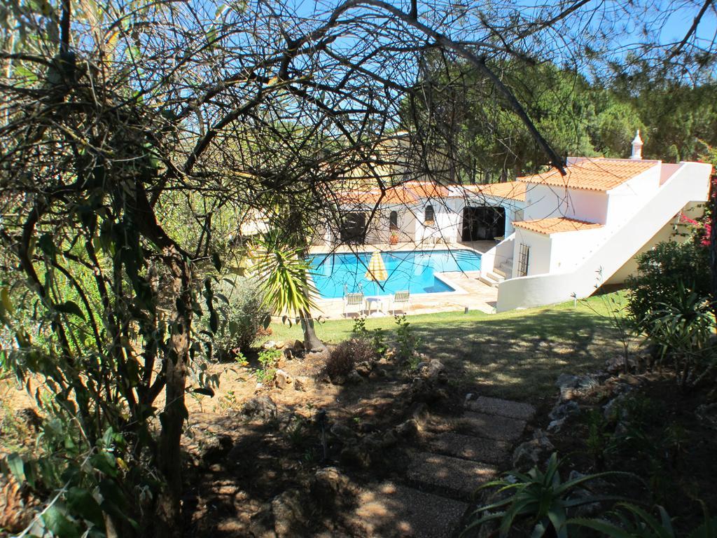 Villa Casa Camelia