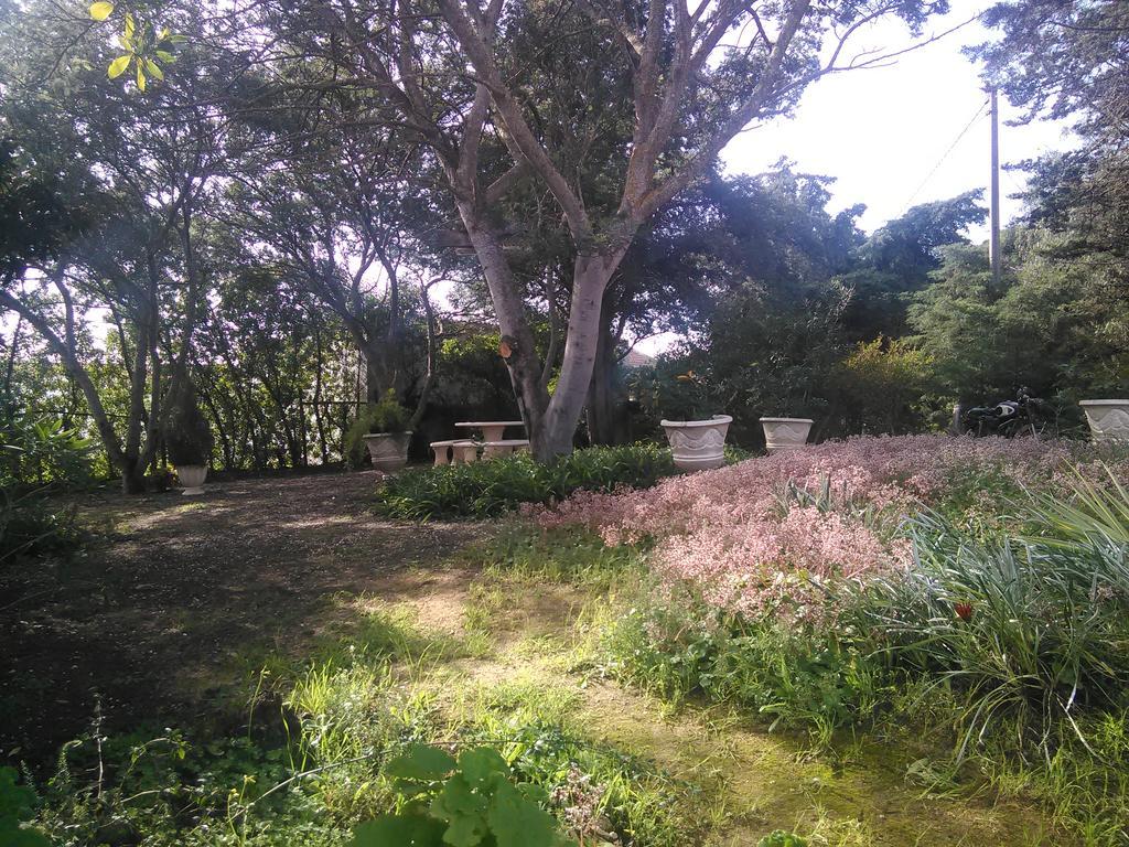 Holiday home Nature Houses