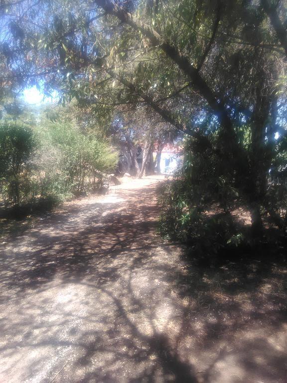 Nature Houses