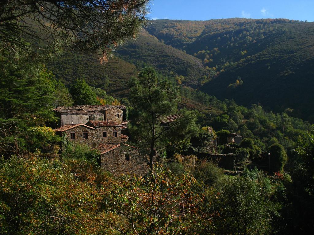 Casa Da Cerejinha Gois