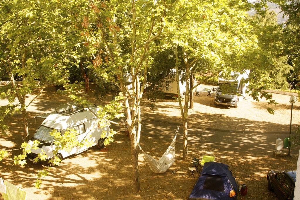 Campsite Camping