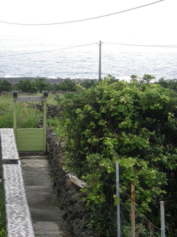 Casa de hóspedes Alojamentos Flores Island