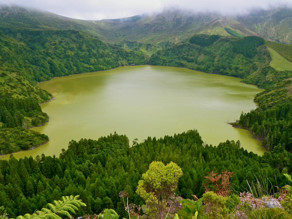 Pensión Alojamentos Flores Island Faja Grande
