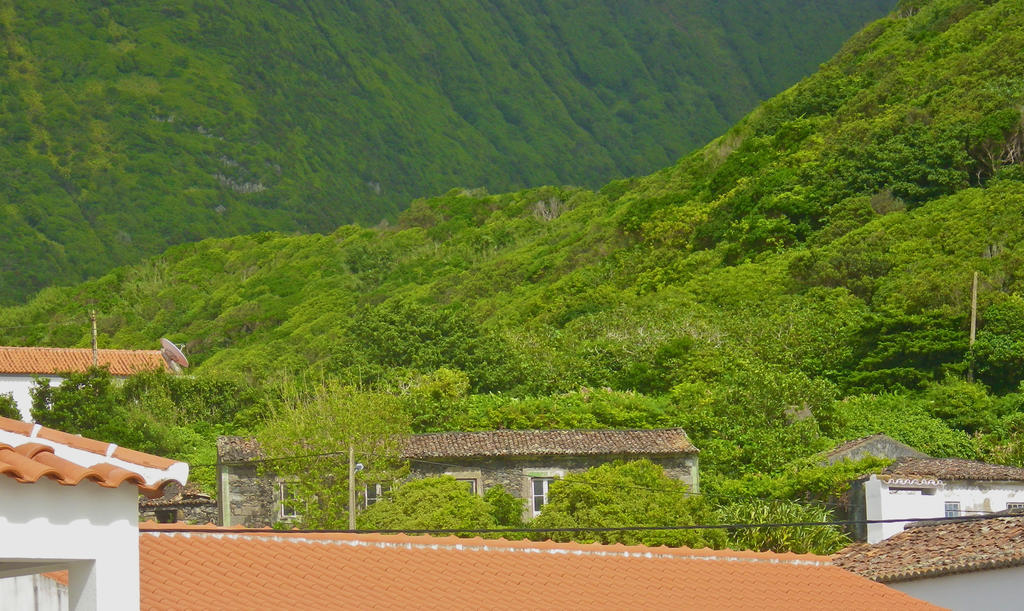 Alojamentos Flores Island
