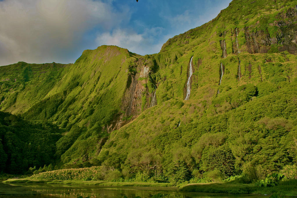 Casa de hóspedes Alojamentos Flores Island
