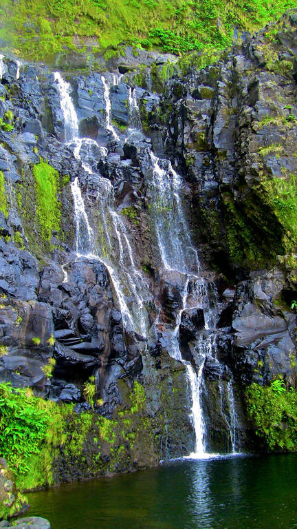 Alojamentos Flores Island