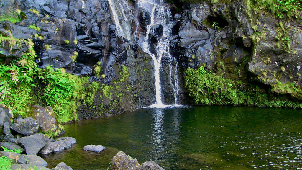 Alojamentos Flores Island Faja Grande