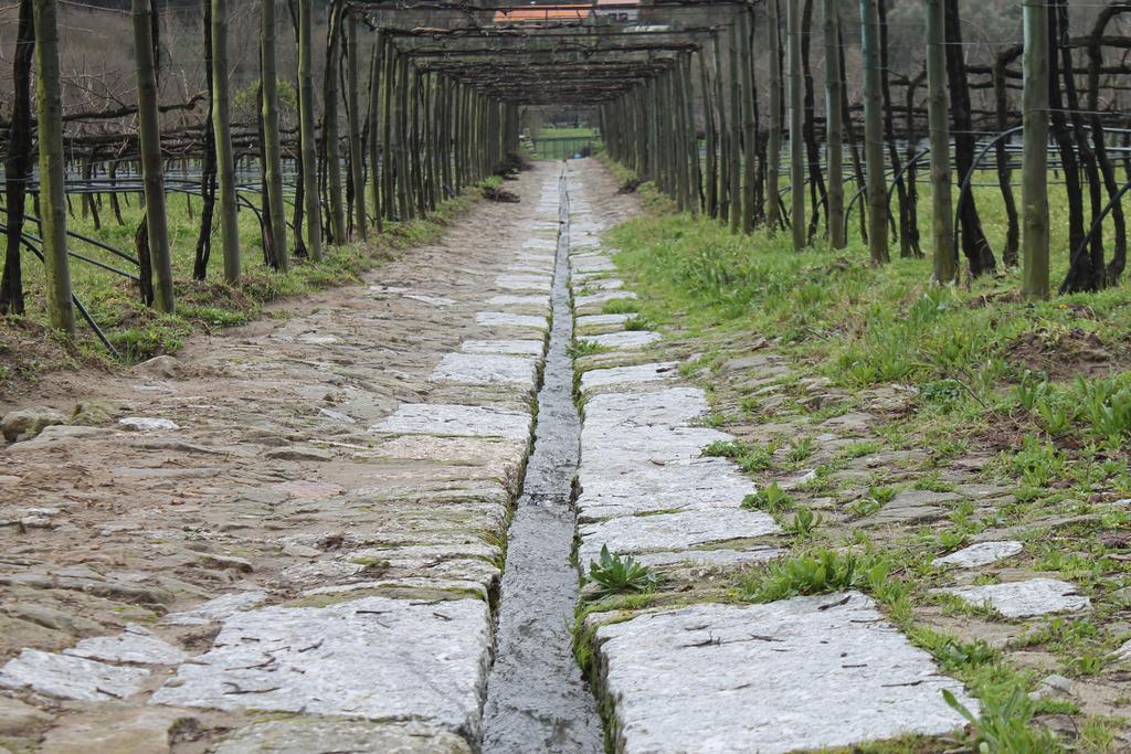 Farm stay Quinta Da Eira Do Sol