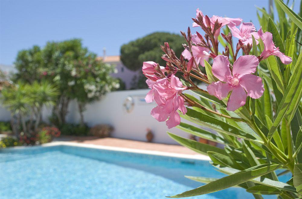 Guest house Village Lagos
