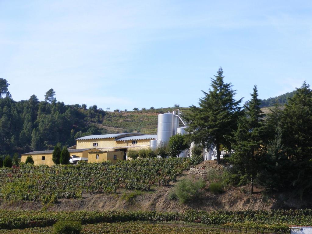 Solar Quinta Da Portela - Douro *